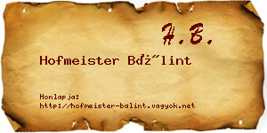 Hofmeister Bálint névjegykártya