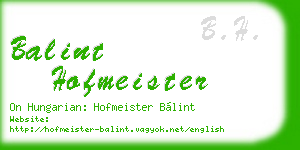 balint hofmeister business card